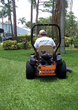 Lawn & Landscape Maintenance