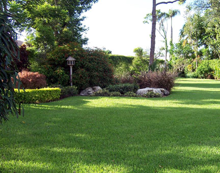 Grassroots Complete Landscape Maintenance